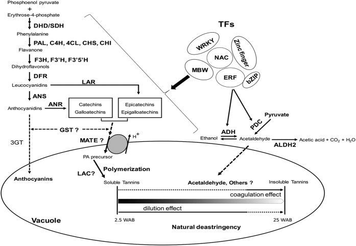 Figure 9