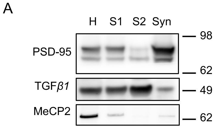 Figure 3—figure supplement 2.