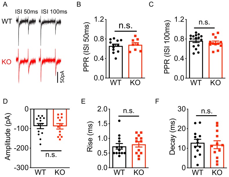 Figure 6—figure supplement 2.