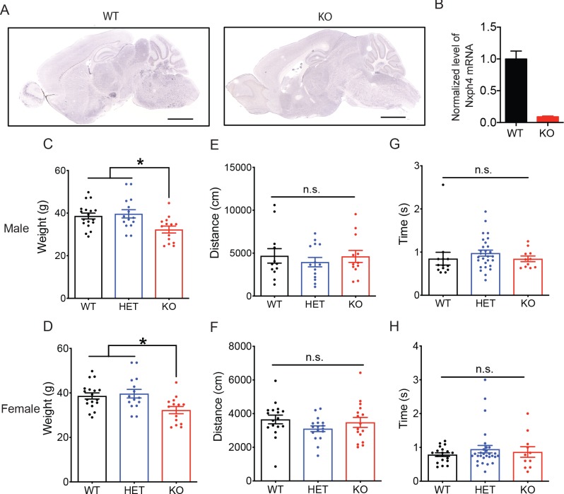 Figure 2—figure supplement 1.