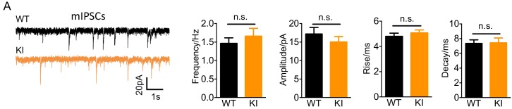 Figure 6—figure supplement 3.