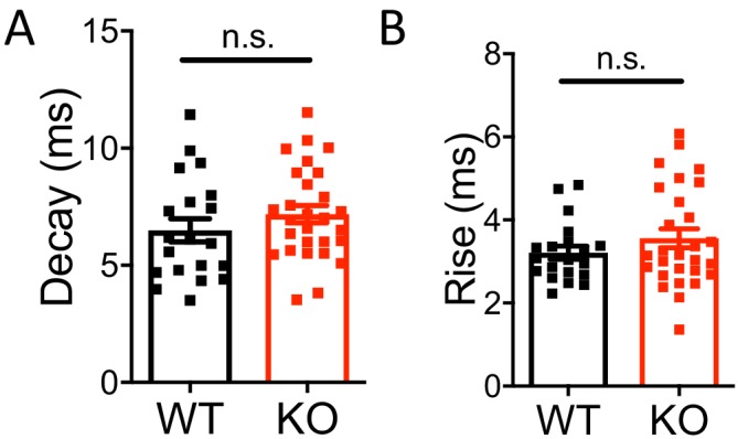 Figure 6—figure supplement 1.