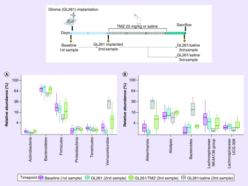 Figure 2. 