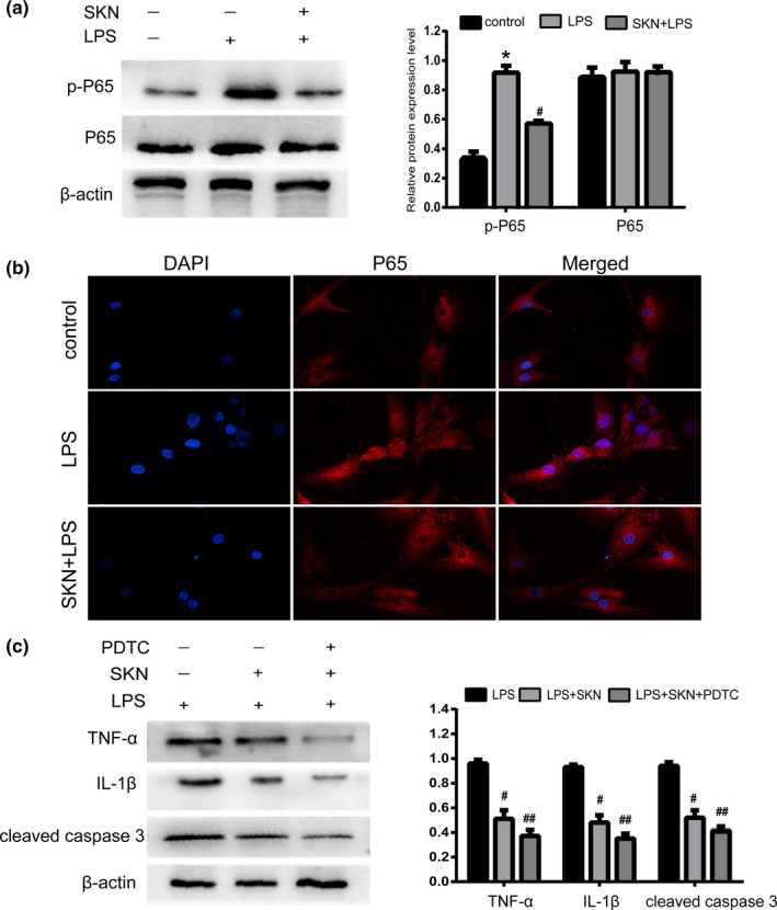 FIGURE 4