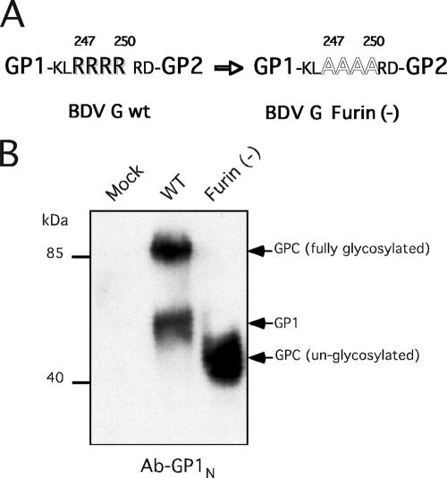 FIG. 8.