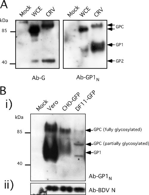 FIG. 7.