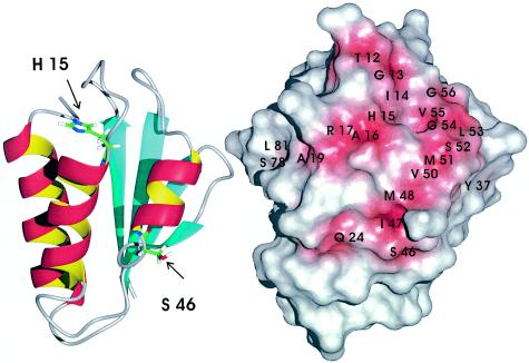 FIG. 7.