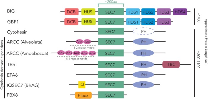 FIGURE 1: