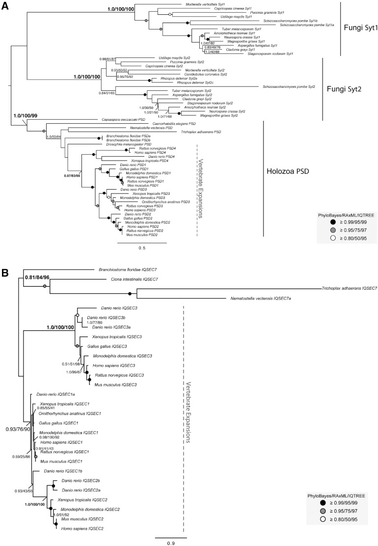 FIGURE 7: