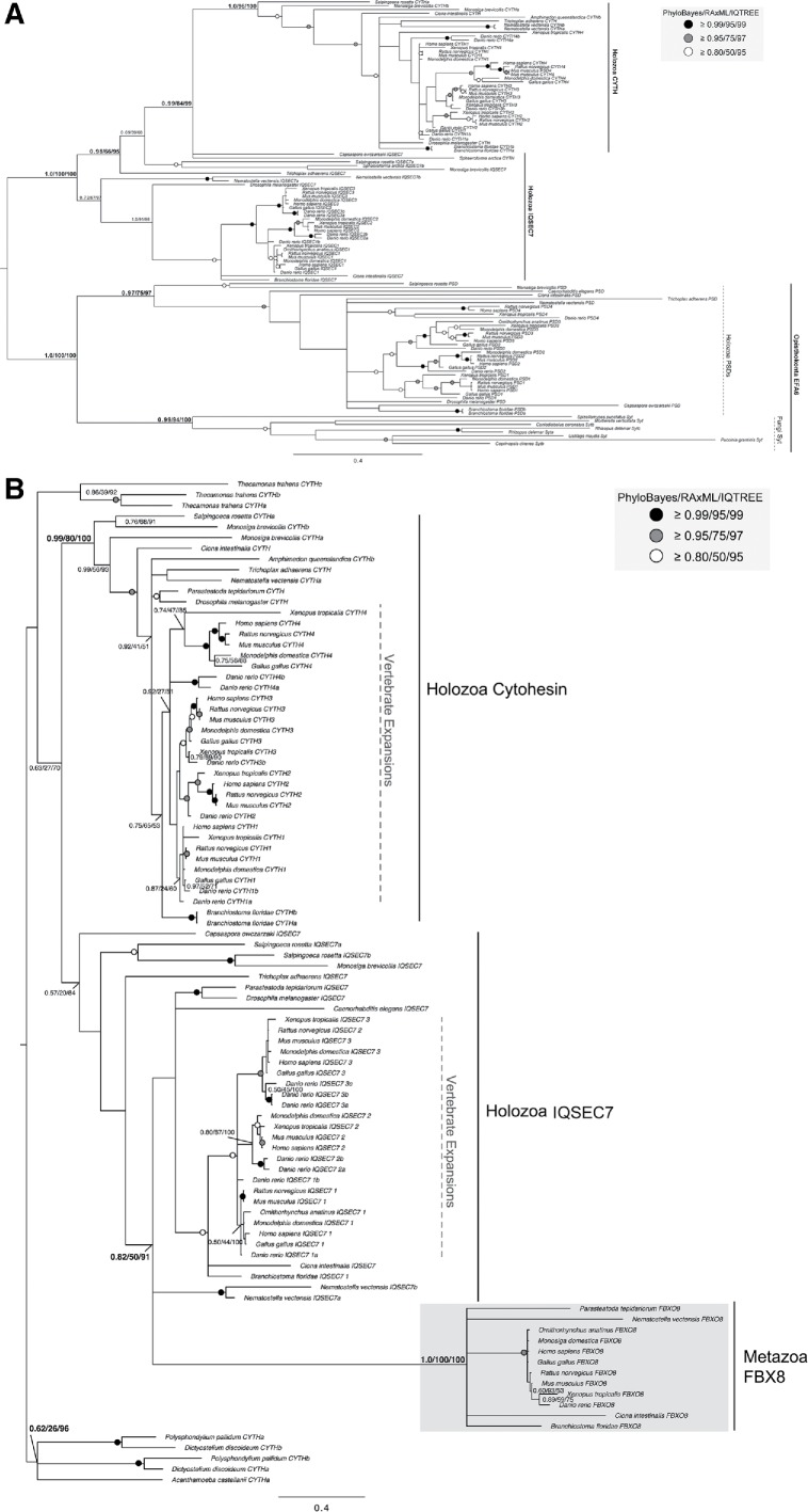 FIGURE 6: