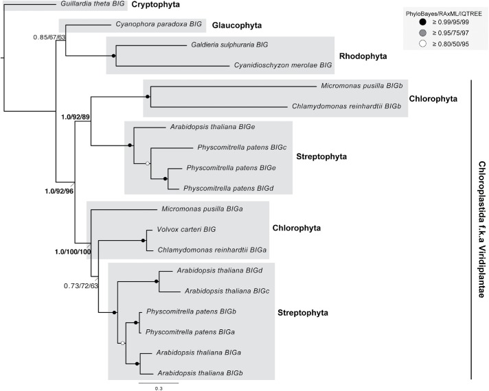 FIGURE 5: