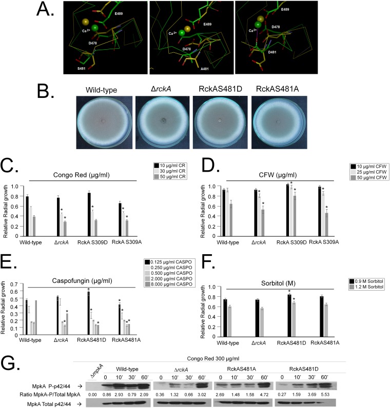 FIG 8