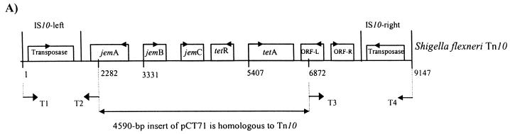 FIG. 1.