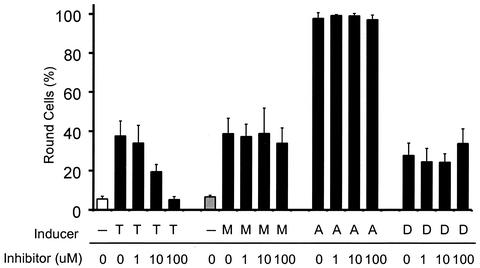 FIG. 8.