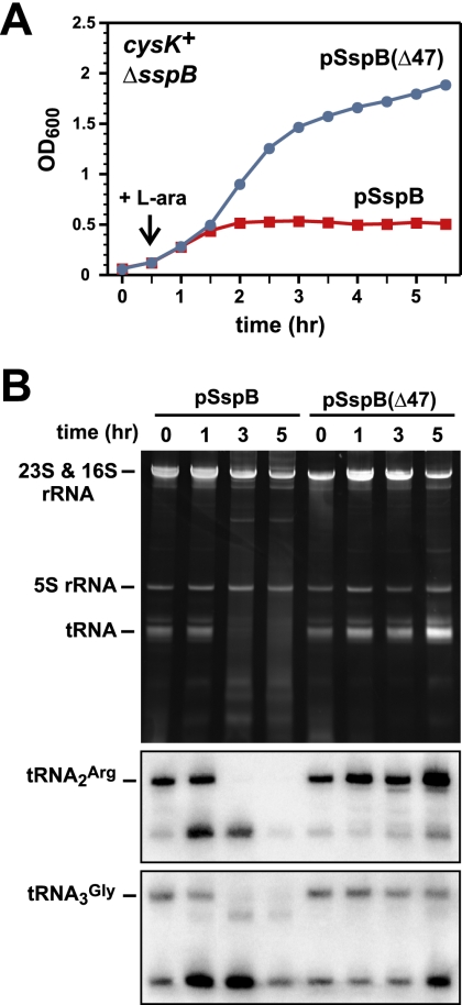 Figure 5.