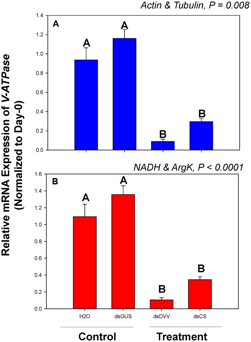 FIGURE 4