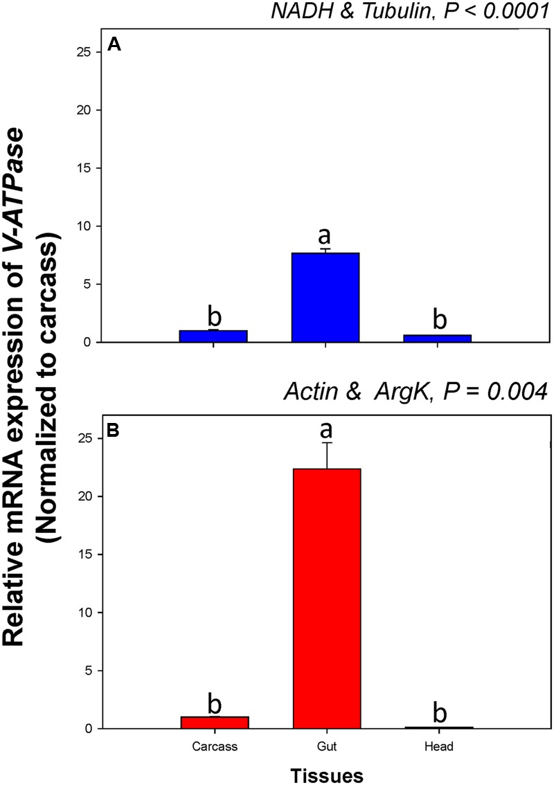 FIGURE 6