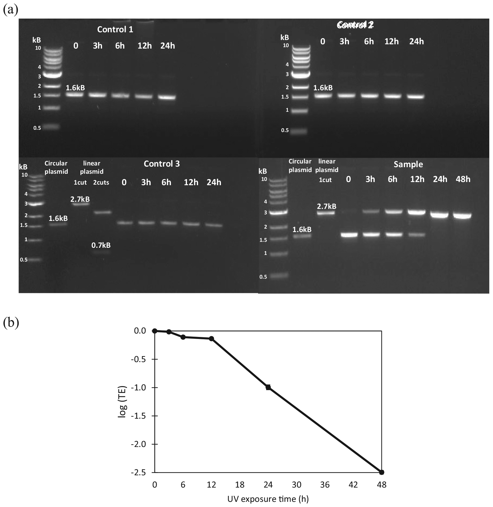 Fig. 5.