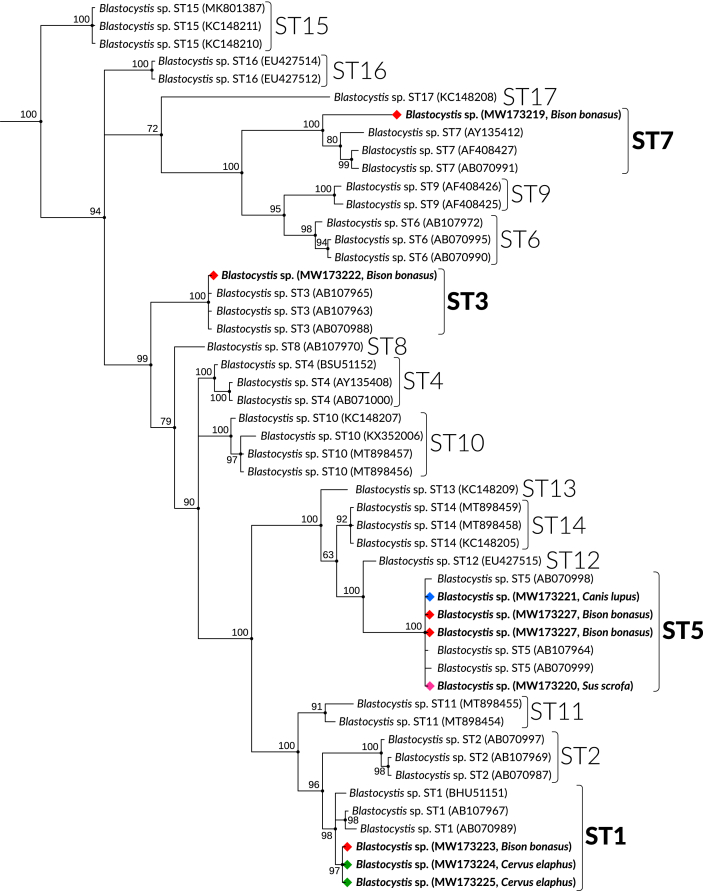 Fig. 2