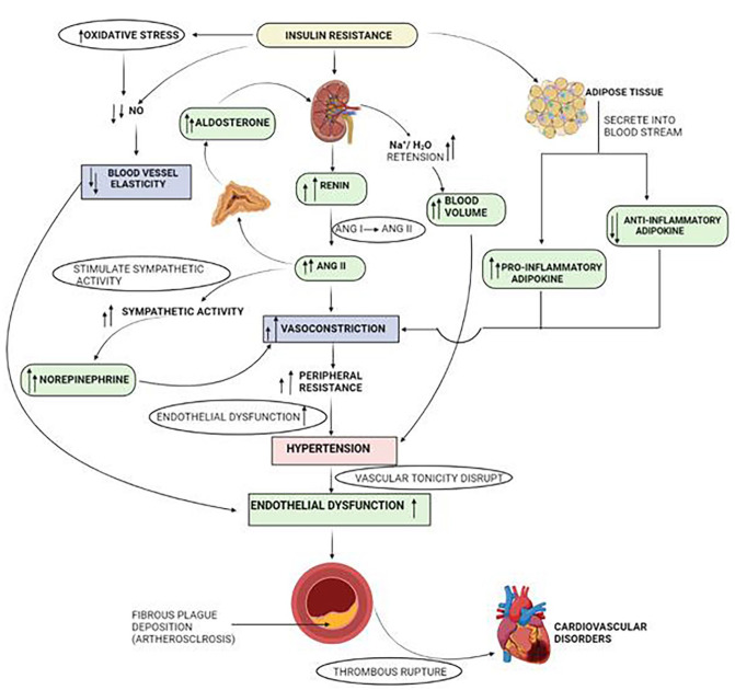 Figure 2.