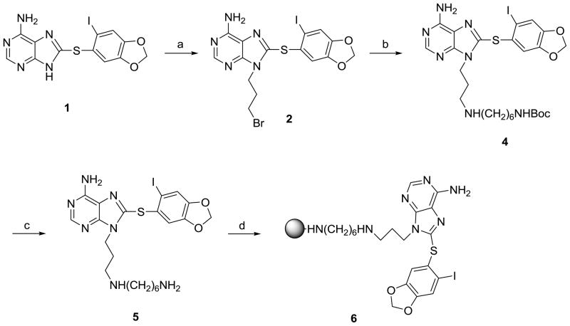 Scheme 1