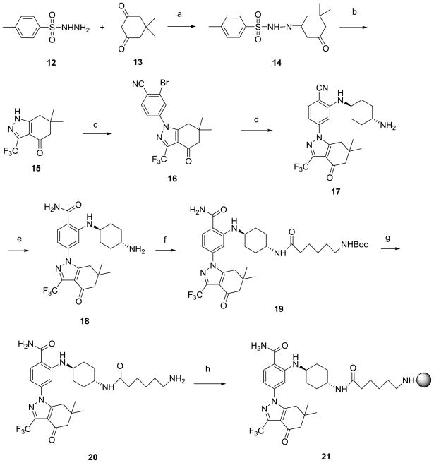 Scheme 4