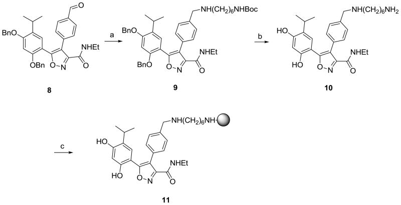 Scheme 3