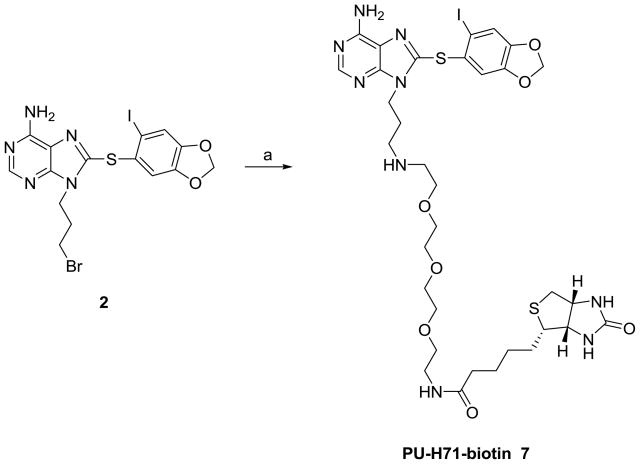 Scheme 2