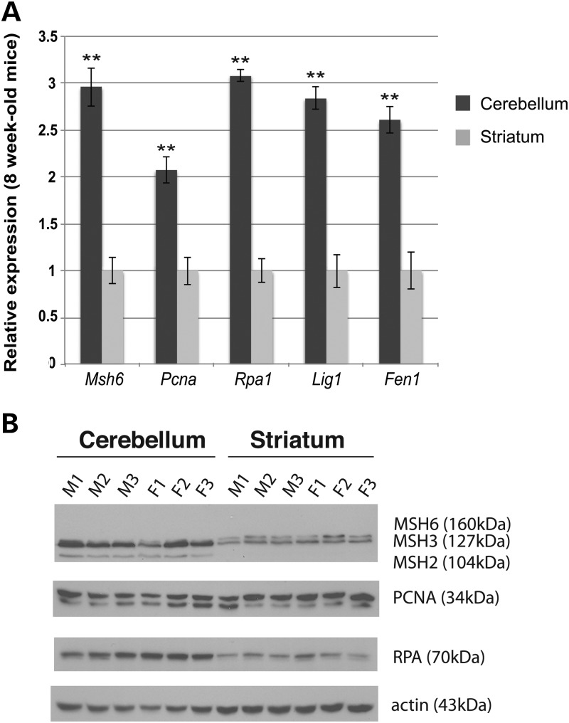 Figure 3.