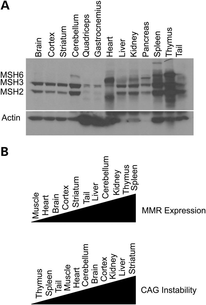 Figure 6.