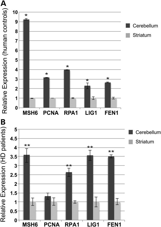 Figure 7.