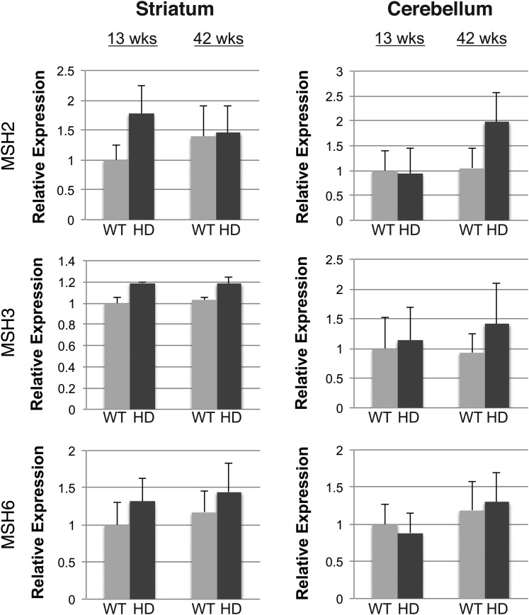 Figure 4.