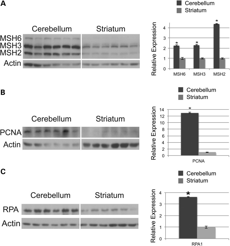 Figure 2.