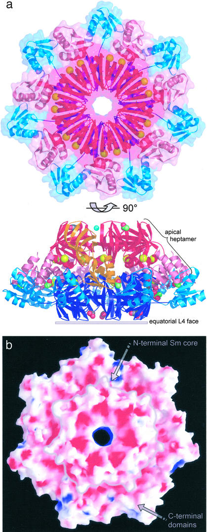 Fig 2.