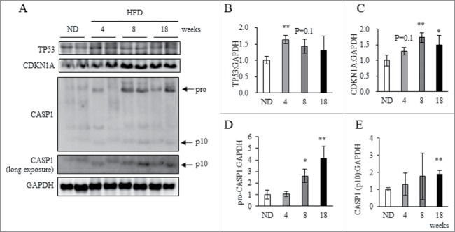 Figure 7.