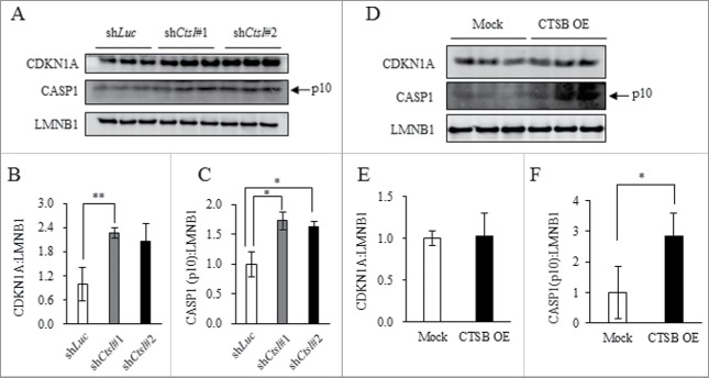 Figure 6.