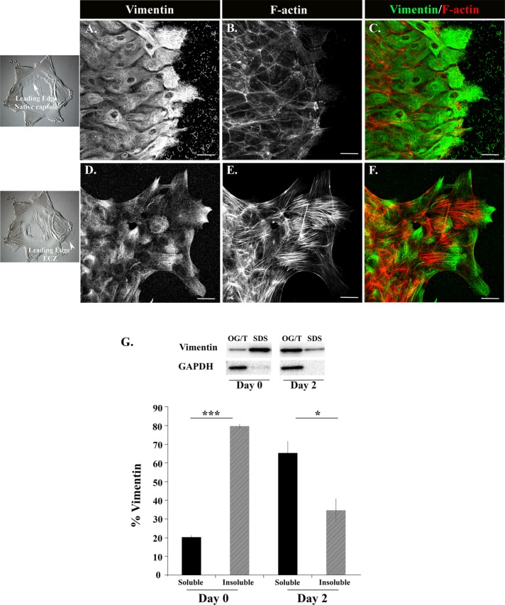 FIGURE 4: