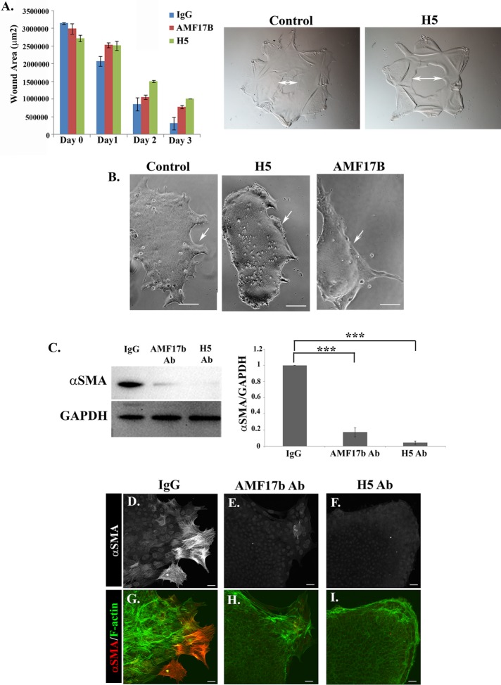 FIGURE 7: