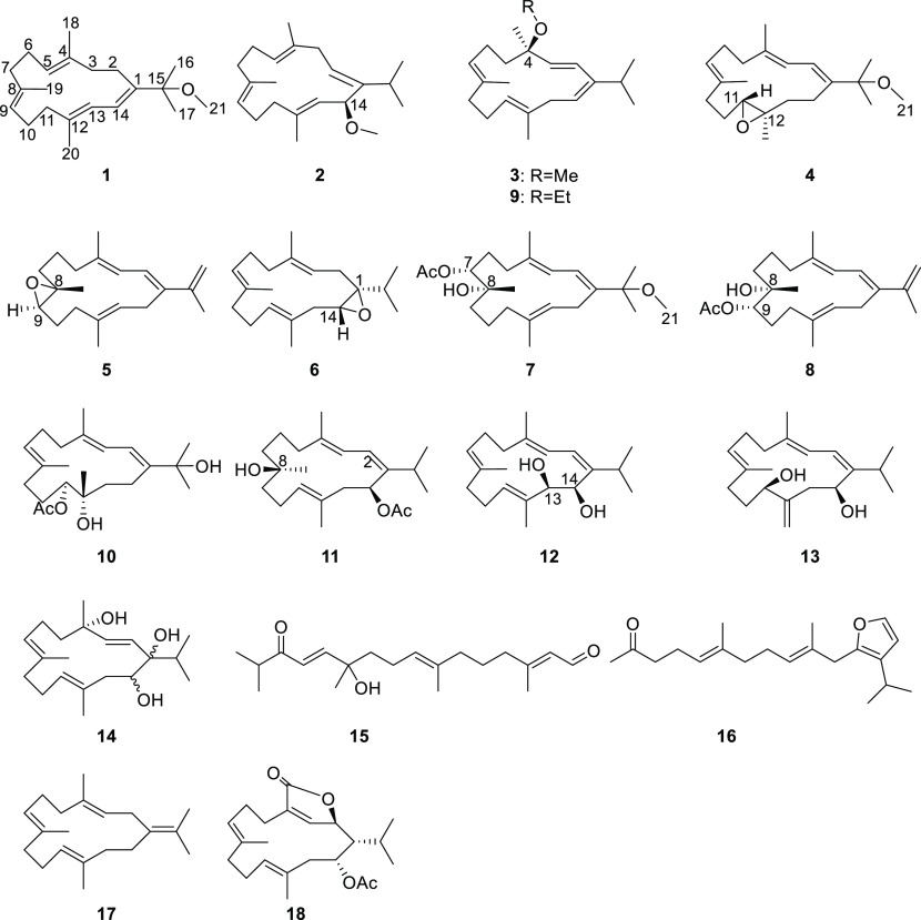 Chart 1