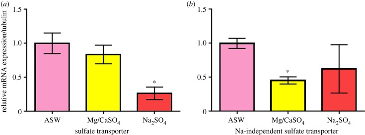 Figure 5.