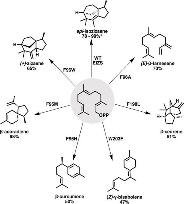 Fig. 8.