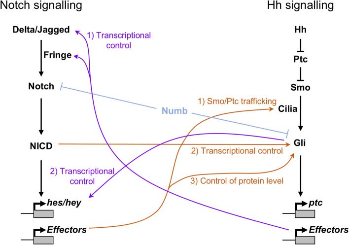 Fig. 3