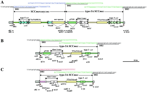 FIG. 2.