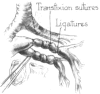 Fig. 17.