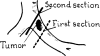 Fig. 16.