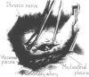 Fig. 14.