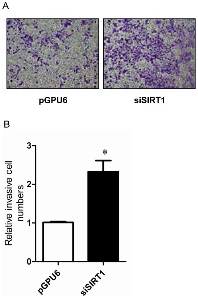 Figure 9