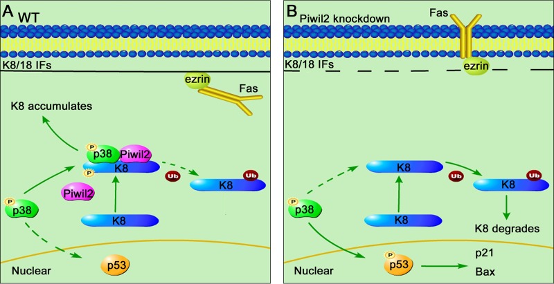 FIG 7