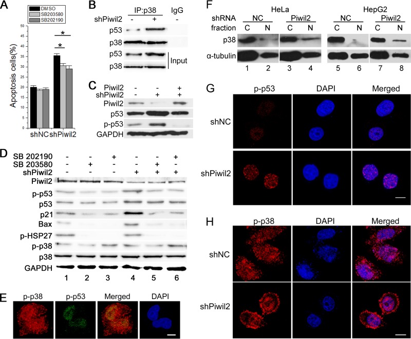 FIG 6