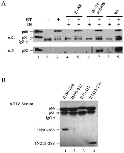 FIG. 6.